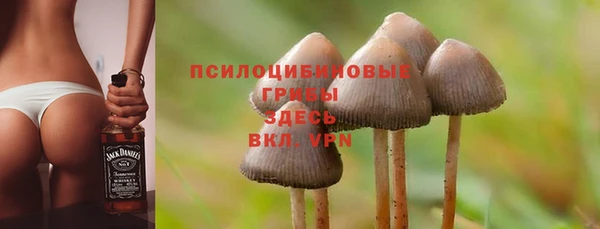 ГАЛЛЮЦИНОГЕННЫЕ ГРИБЫ Красноперекопск