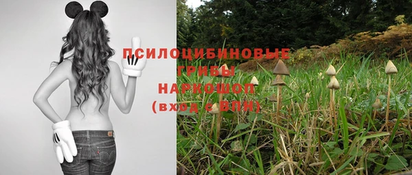 твердый Армянск