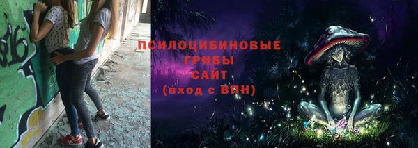 ешки Аркадак