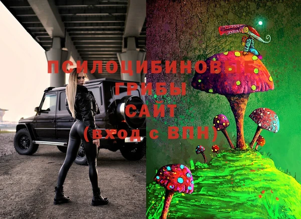 ешки Аркадак